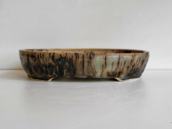 Pot à bonsai ovale – Image 3