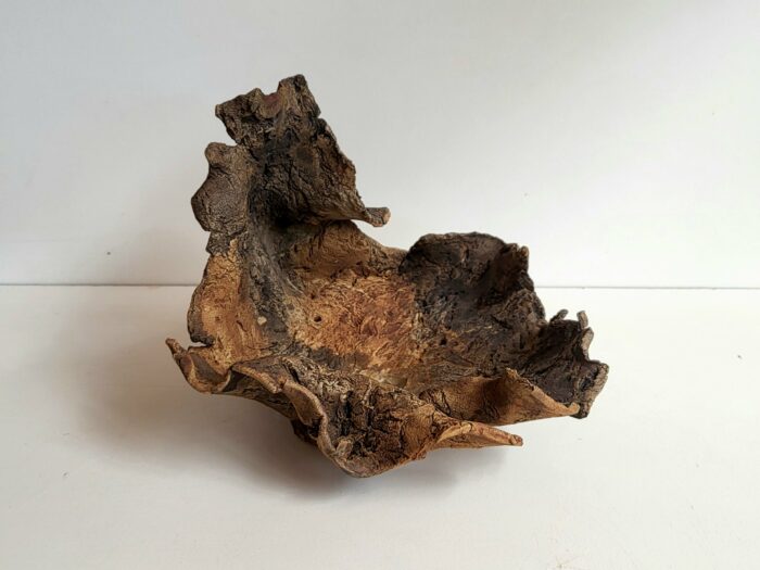 Coque du brun au noir – Image 7