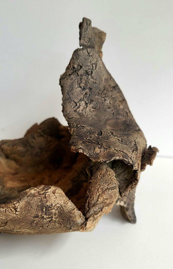 Coque du brun au noir – Image 2