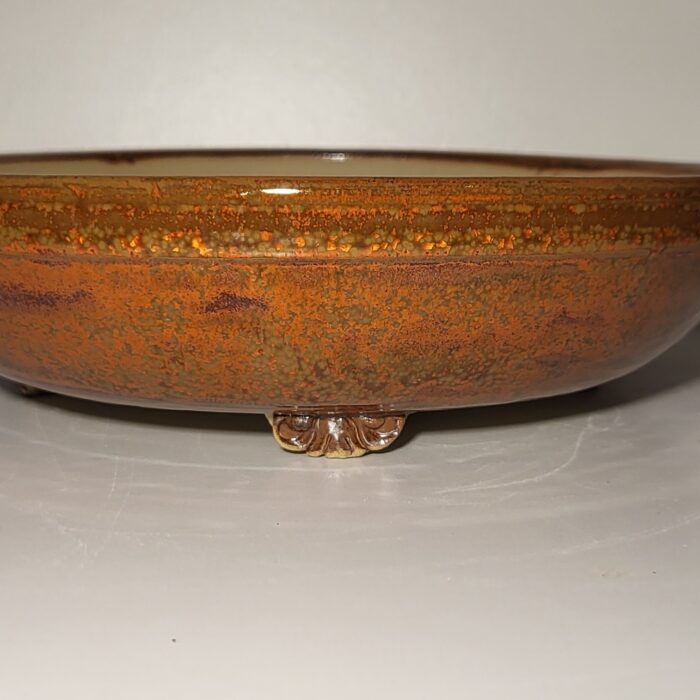 Pot bonsaï rond – Image 5