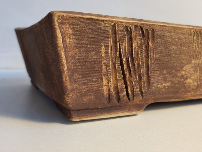 pot bonsai rectangulaire brut – Image 3