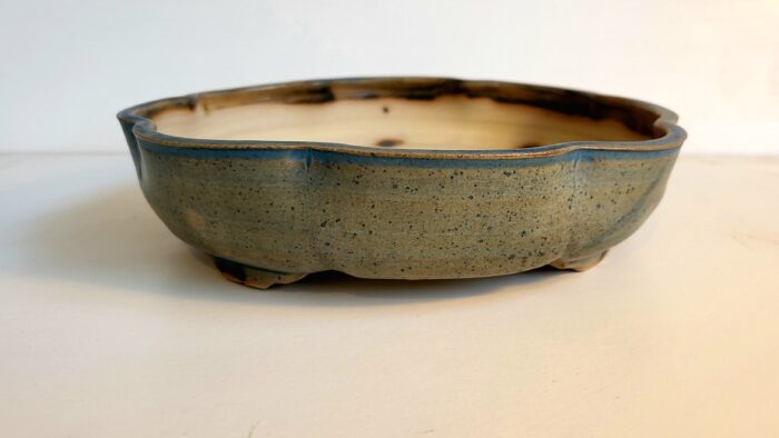 pot à bonsai lotus bleu mat