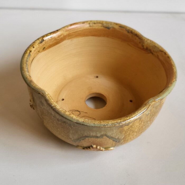 pot à bonsai lotus or – Image 2