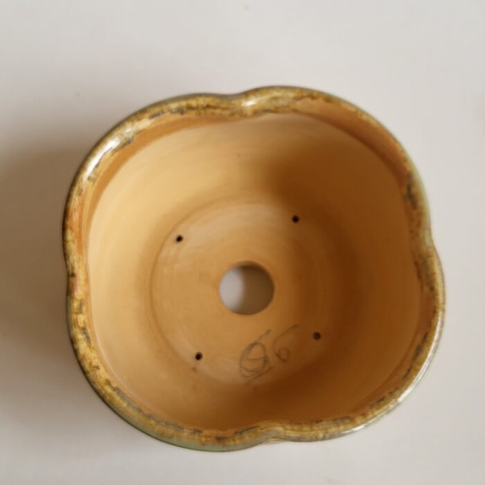 pot à bonsai lotus or – Image 8