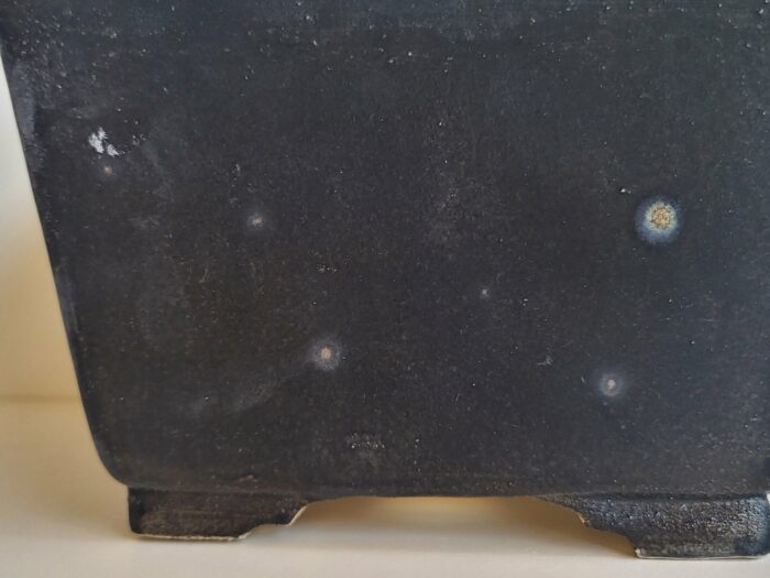 Pot bonsaï carré – Image 2