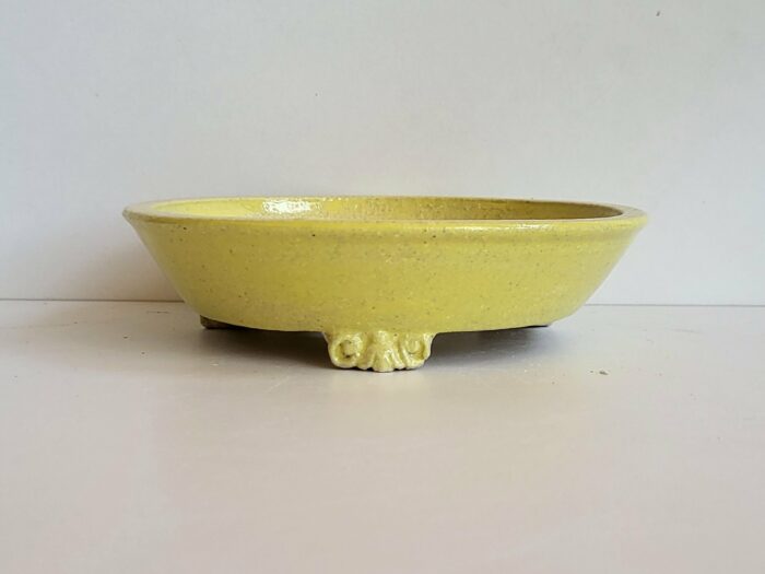 Pot à bonsaï jaune