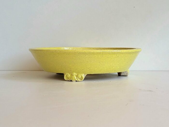 Pot à bonsaï jaune – Image 2