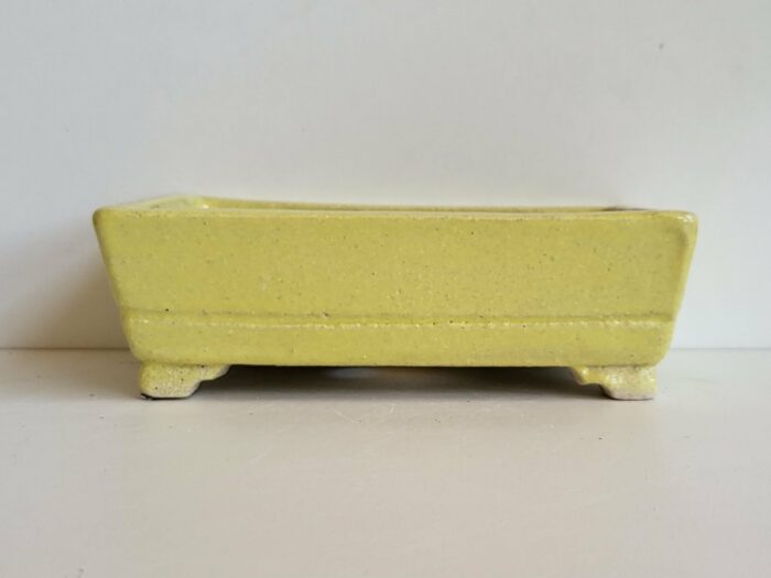 Pot à bonsaï rectangulaire jaune