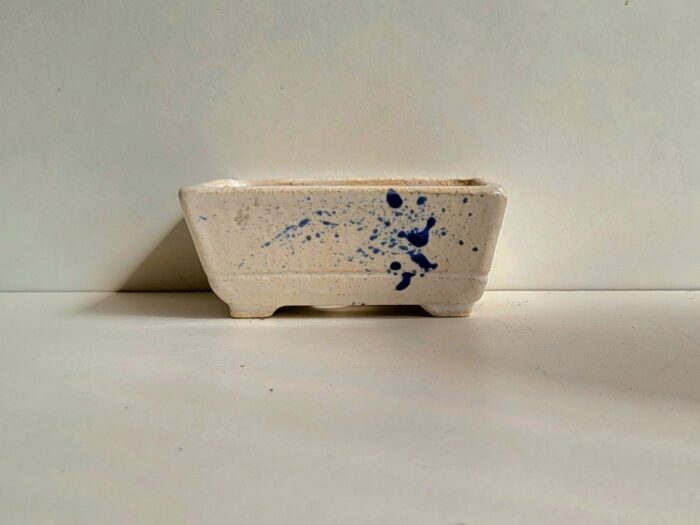 Pot à bonsaï rectangulaire