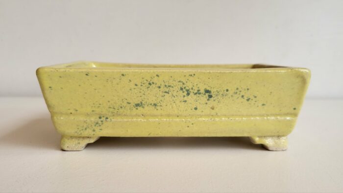 Pot à bonsaï rectangulaire jaune – Image 6