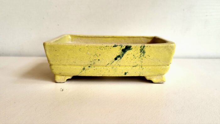 Pot à bonsaï rectangulaire jaune