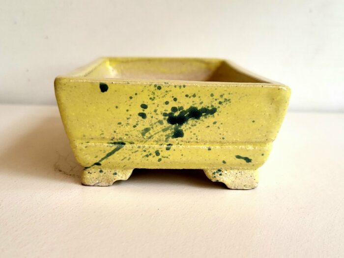 Pot à bonsaï rectangulaire jaune – Image 4