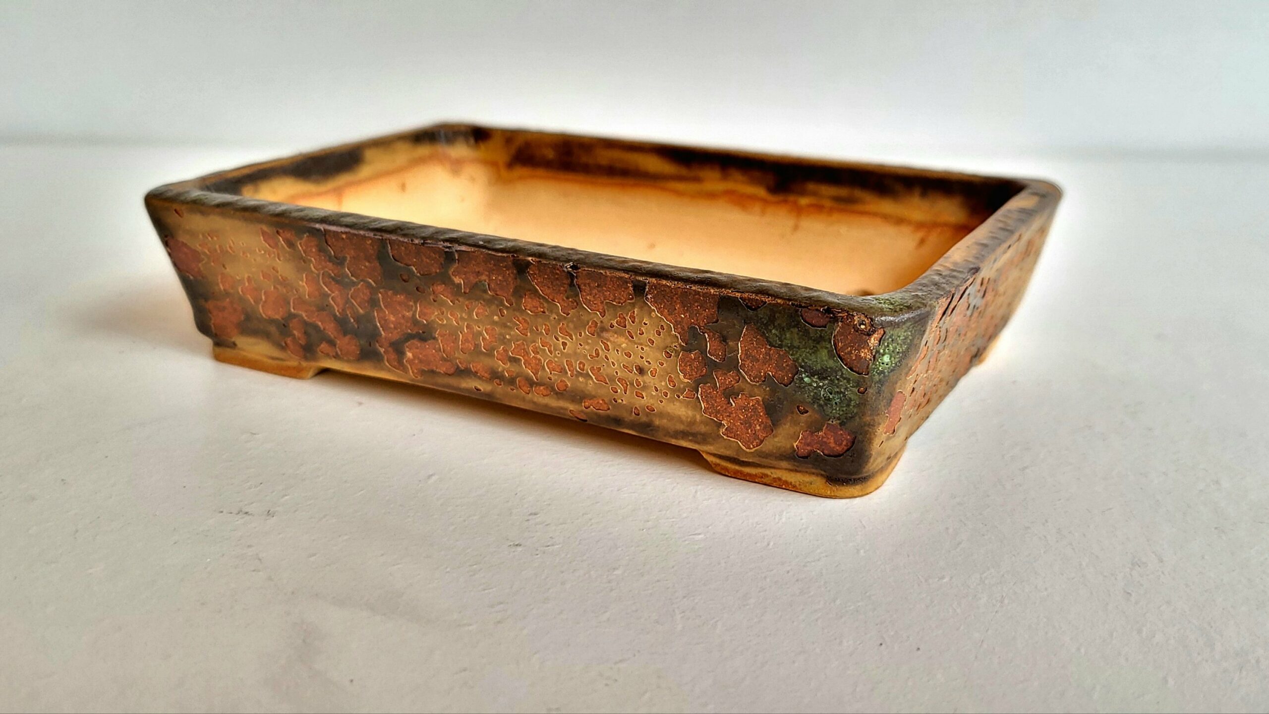 Pot rectangulaire lichen