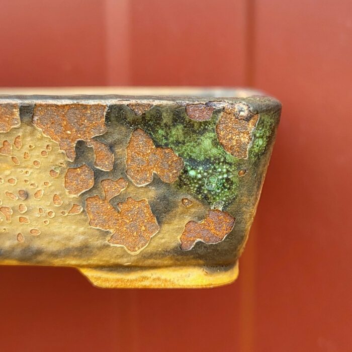 Pot rectangulaire lichen – Image 2