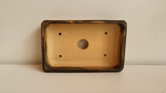Pot rectangulaire lichen – Image 6