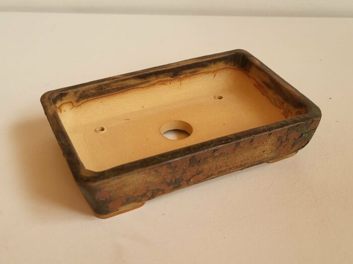 Pot rectangulaire lichen – Image 3