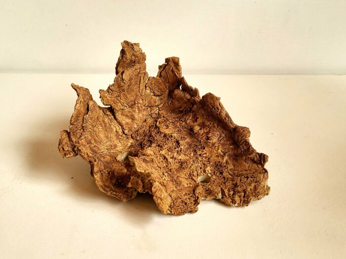 Coque  brun – Image 3
