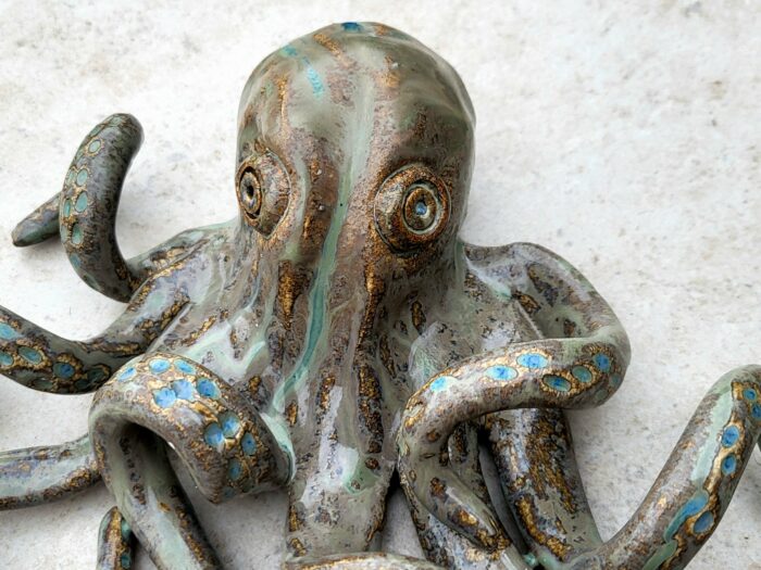 Octopus – Image 4