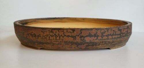 Pot à bonsai ovale Lichen