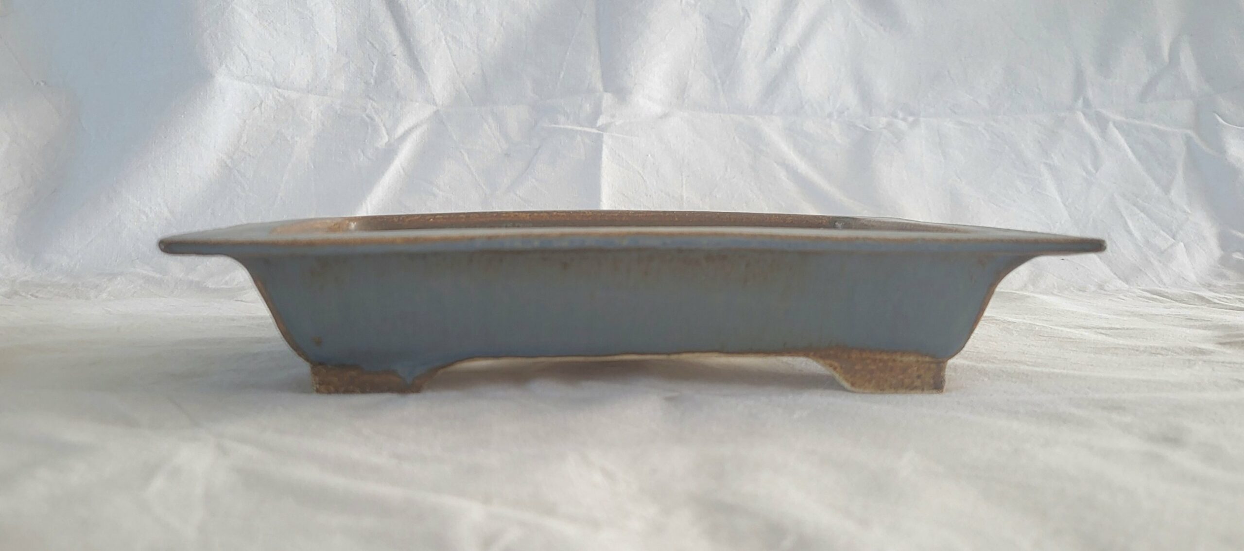Pot à bonsai
bords larges – Image 5