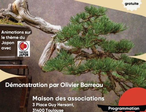 Exposition de bonsaï 2026 régionale sud (« ôôôô Toulouse »)