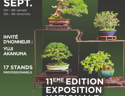 Exposition de bonsaï 2026 SHOHIN/MAME Couzeix (87)